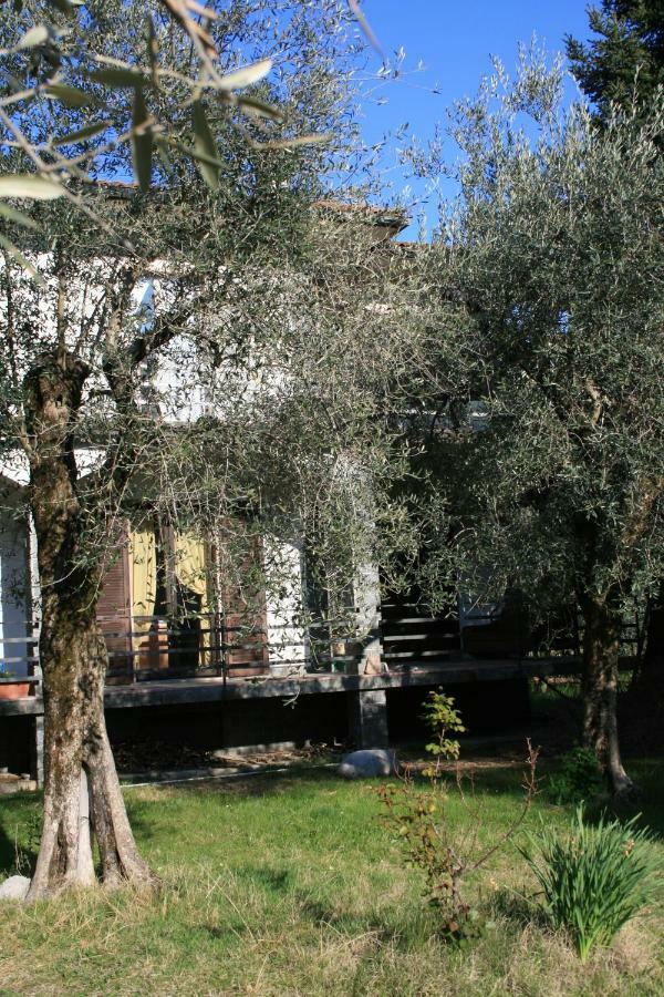 La Terrazza Sugli Ulivi Toscolano Maderno Exterior foto